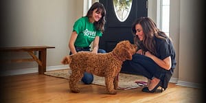 Best Gig for Dog Lovers: Rover Pet Sitting 6